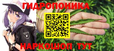 стаф Славянск-на-Кубани