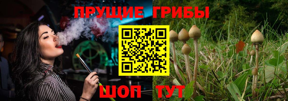 Галлюциногенные грибы ЛСД Орёл